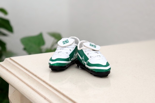 訓的球員都 訓的球員都