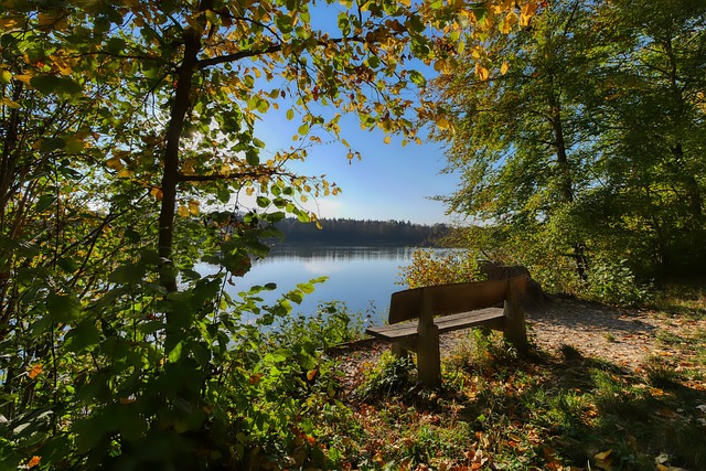 技战术的调 技战术的调