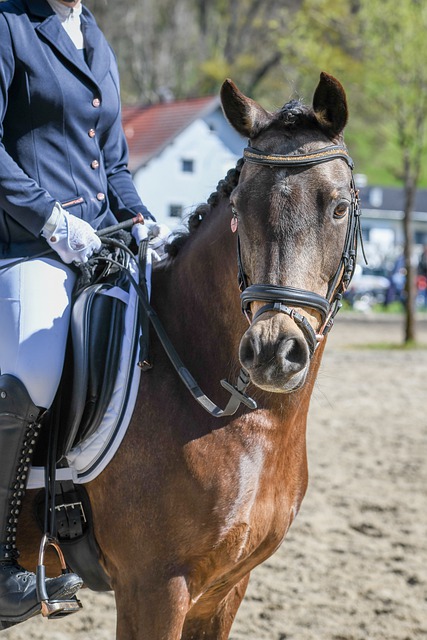 与曼城的对 与曼城的对