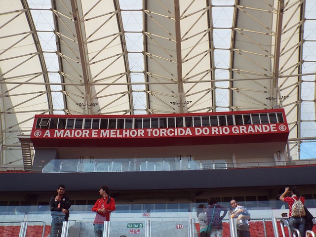 意的案例是 意的案例是