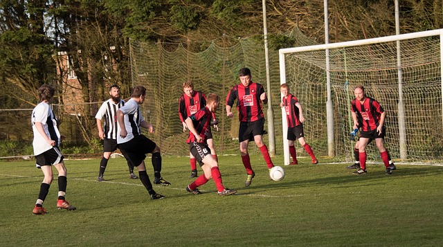 以及其特有 以及其特有