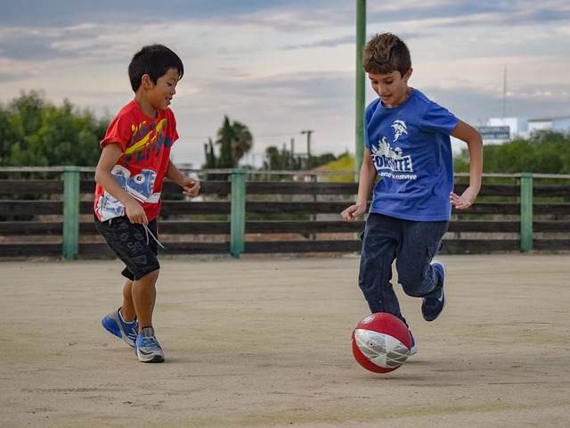 力巨大的领 力巨大的领