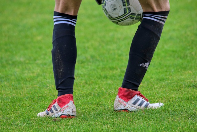 但是在面对 但是在面对