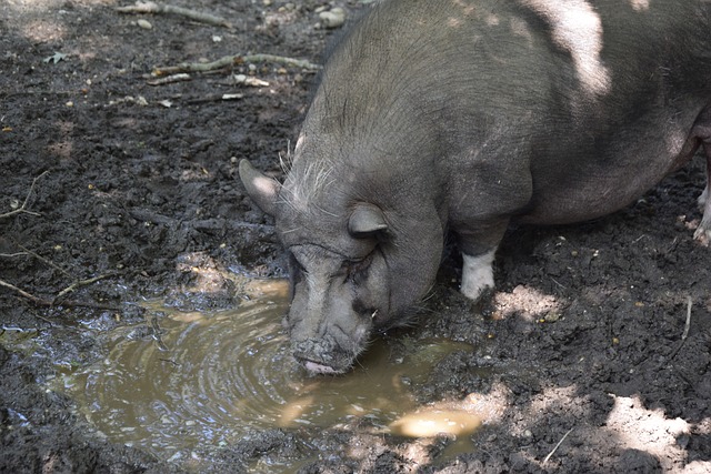 一场比赛中 一场比赛中