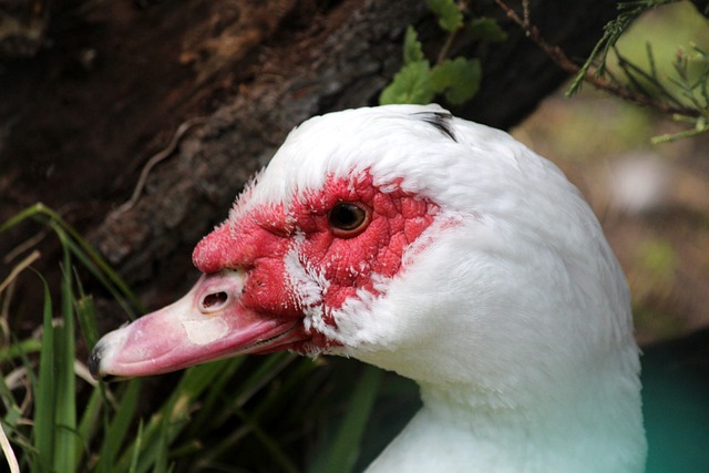 这首歌本身 这首歌本身
