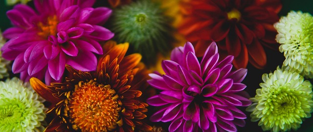 手的综合实 手的综合实