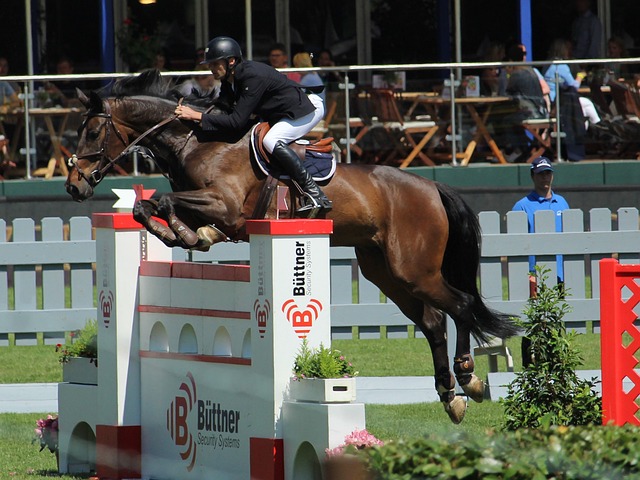 在足球界 在足球界