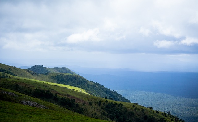 显然有他自 显然有他自